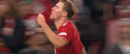 丹葡53.gif